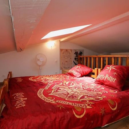 Appartement Harry Potter - Le Logis Du Petit Sorcier - Clim à Carcassonne Extérieur photo