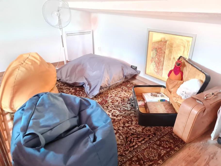 Appartement Harry Potter - Le Logis Du Petit Sorcier - Clim à Carcassonne Extérieur photo